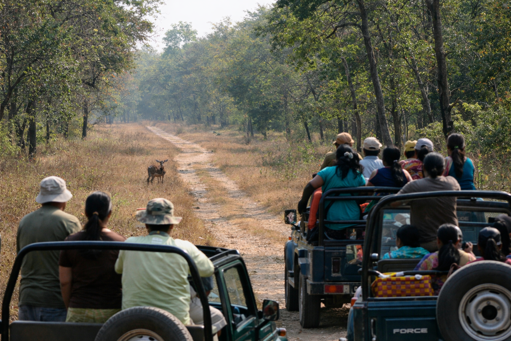 chatgpt image jan 22, 2026, 03 43 46 pm