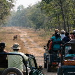 chatgpt image jan 22, 2026, 03 43 46 pm